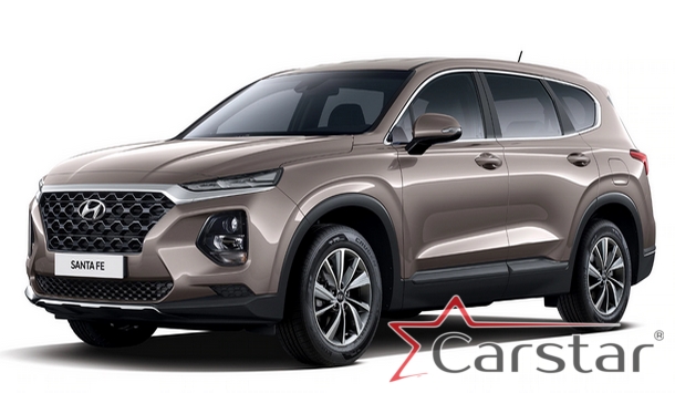 Автомобильные коврики EVA 3D для Hyundai Santa Fe IV (2018-2021)